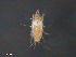  ( - BIOUG15124-D09)  @11 [ ] CreativeCommons - Attribution (2015) CBG Photography Group Centre for Biodiversity Genomics