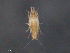  ( - BIOUG15124-D10)  @11 [ ] CreativeCommons - Attribution (2015) CBG Photography Group Centre for Biodiversity Genomics