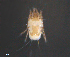  ( - BIOUG15124-E09)  @11 [ ] CreativeCommons - Attribution (2015) CBG Photography Group Centre for Biodiversity Genomics