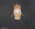  ( - BIOUG15124-E11)  @11 [ ] CreativeCommons - Attribution (2015) CBG Photography Group Centre for Biodiversity Genomics