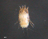  ( - BIOUG15124-E12)  @11 [ ] CreativeCommons - Attribution (2015) CBG Photography Group Centre for Biodiversity Genomics