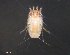  ( - BIOUG15124-F01)  @11 [ ] CreativeCommons - Attribution (2015) CBG Photography Group Centre for Biodiversity Genomics