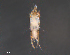  ( - BIOUG15124-F02)  @11 [ ] CreativeCommons - Attribution (2015) CBG Photography Group Centre for Biodiversity Genomics