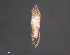  ( - BIOUG15124-F04)  @11 [ ] CreativeCommons - Attribution (2015) CBG Photography Group Centre for Biodiversity Genomics