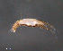  ( - BIOUG15124-F05)  @11 [ ] CreativeCommons - Attribution (2015) CBG Photography Group Centre for Biodiversity Genomics
