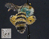  ( - UAIC1138824)  @11 [ ] by (2023) Glenn Seplak Arizona-Sonora Desert Museum