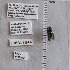 ( - UAIC1138842)  @11 [ ] by (2023) Glenn Seplak Arizona-Sonora Desert Museum