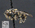  ( - UAIC1138842)  @11 [ ] by (2023) Glenn Seplak Arizona-Sonora Desert Museum