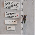  ( - UAIC1138830)  @11 [ ] by (2023) Glenn Seplak Arizona-Sonora Desert Museum
