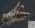  ( - UAIC1138830)  @11 [ ] by (2023) Glenn Seplak Arizona-Sonora Desert Museum