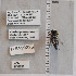  ( - UAIC1138828)  @11 [ ] by (2023) Glenn Seplak Arizona-Sonora Desert Museum