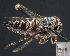  ( - UAIC1138828)  @11 [ ] by (2023) Glenn Seplak Arizona-Sonora Desert Museum