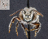 ( - UAIC1138860)  @11 [ ] by (2023) Glenn Seplak Arizona-Sonora Desert Museum