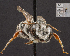  ( - UAIC1138862)  @11 [ ] by (2023) Glenn Seplak Arizona-Sonora Desert Museum