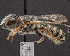  ( - UAIC1138862)  @11 [ ] by (2023) Glenn Seplak Arizona-Sonora Desert Museum