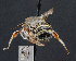  ( - UAIC1138862)  @11 [ ] by (2023) Glenn Seplak Arizona-Sonora Desert Museum