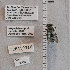 ( - UAIC1138863)  @11 [ ] by (2023) Glenn Seplak Arizona-Sonora Desert Museum