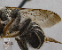  ( - UAIC1138863)  @11 [ ] by (2023) Glenn Seplak Arizona-Sonora Desert Museum