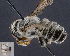  ( - UAIC1138865)  @11 [ ] by (2023) Glenn Seplak Arizona-Sonora Desert Museum