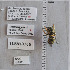  ( - UAIC1138811)  @11 [ ] by (2023) Glenn Seplak Arizona-Sonora Desert Museum