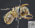  ( - UAIC1138811)  @11 [ ] by (2023) Glenn Seplak Arizona-Sonora Desert Museum