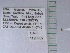  ( - UAIC1128962)  @11 [ ] by (2021) Wendy Moore University of Arizona Insect Collection