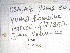  ( - UAIC1128980)  @11 [ ] Unspecified (default): All Rights Reserved (2023) Wendy Moore University of Arizona