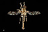  (Proctacanthella exquisita - UAIC1138482)  @11 [ ] by (2021) Wendy Moore University of Arizona Insect Collection