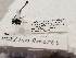  ( - UAIC1148044)  @11 [ ] by (2022) Liam Roberts University of Arizona Insect Collection