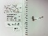  ( - UAIC1153644)  @11 [ ] by (2023) Wendy Moore University of Arizona Insect Collection