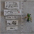  ( - UAIC1177060)  @11 [ ] by (2024) Unspecified Arizona-Sonora Desert Museum