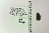  ( - UAIC1148412)  @11 [ ] by (2022) Joseph Montoya University of Arizona, Insect Collection