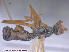  ( - UAM:Ento:18763)  @12 [ ] CreativeCommons - Attribution Non-Commercial No Derivatives (2015) Derek Sikes University of Alaska Museum