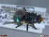  ( - UAM:Ento:95359)  @11 [ ] CreativeCommons  Attribution Non-Commercial No Derivatives (2023) Derek Sikes University of Alaska Museum
