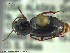 ( - UAM:Ento:90169)  @11 [ ] CreativeCommons - Attribution Non-Commercial No Derivatives (2014) Derek Sikes University of Alaska Museum