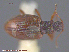  ( - UAM:Ento:86237)  @11 [ ] CreativeCommons - Attribution Non-Commercial No Derivatives (2015) Derek Sikes University of Alaska Museum
