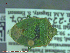  ( - UAM:Ento:97026)  @13 [ ] CreativeCommons - Attribution Non-Commercial No Derivatives (2014) Derek Sikes University of Alaska Museum