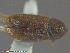  ( - UAM:Ento:111008)  @12 [ ] CreativeCommons - Attribution Non-Commercial No Derivatives (2014) Derek Sikes University of Alaska Museum