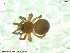  ( - UAM:Ento:235728)  @12 [ ] CreativeCommons - Attribution Non-Commercial No Derivatives (2013) Derek Sikes University of Alaska Museum