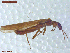  ( - UAM:Ento:444153)  @11 [ ] CreativeCommons  Attribution Non-Commercial No Derivatives (2021) Derek Sikes University of Alaska Museum