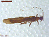  ( - UAM:Ento:444154)  @11 [ ] CreativeCommons  Attribution Non-Commercial No Derivatives (2021) Derek Sikes University of Alaska Museum