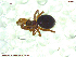  ( - UAM:Ento:144183)  @12 [ ] CreativeCommons - Attribution Non-Commercial No Derivatives (2013) Derek Sikes University of Alaska Museum