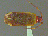  ( - UAM:Ento:114521)  @13 [ ] CreativeCommons - Attribution Non-Commercial No Derivatives (2014) Derek Sikes University of Alaska Museum
