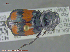 ( - UAM:Ento:120736)  @13 [ ] CreativeCommons - Attribution Non-Commercial No Derivatives (2014) Derek Sikes University of Alaska Museum