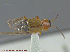  ( - UAM:Ento:130869)  @12 [ ] CreativeCommons - Attribution Non-Commercial No Derivatives (2014) Derek Sikes University of Alaska Museum