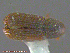  ( - UAM:Ento:141546)  @11 [ ] CreativeCommons - Attribution Non-Commercial No Derivatives (2014) Derek Sikes University of Alaska Museum