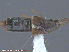  ( - UAM:Ento:167760)  @12 [ ] CreativeCommons - Attribution Non-Commercial No Derivatives (2015) Derek Sikes University of Alaska Museum