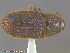  ( - UAM:Ento:166870)  @11 [ ] CreativeCommons - Attribution Non-Commercial No Derivatives (2014) Derek Sikes University of Alaska Museum