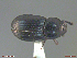  ( - UAM:Ento:203404)  @11 [ ] CreativeCommons  Attribution Non-Commercial No Derivatives (2018) Derek Sikes University of Alaska Museum