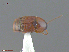  ( - UAM:Ento:211484)  @12 [ ] CreativeCommons  Attribution Non-Commercial No Derivatives (2016) Derek Sikes University of Alaska Museum
